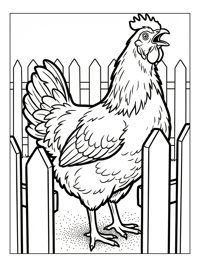 Hen Crowing At Picket Fence