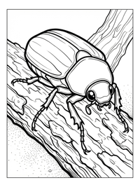 June Bug Resting On Tree Bark