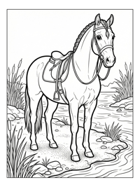 Show Horse Standing By Riverbank