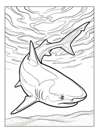 Bull Shark Swimming In Ocean