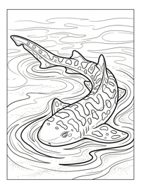 Leopard Shark Resting In Water