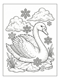 Happy Swan In Winter Snow