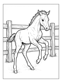 Foal Bucking Near Wooden Fence