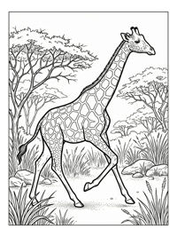 Reticulated Giraffe Striding Safari Park