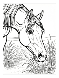 Arabian Horse Nuzzling Prairie Grass