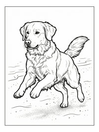 Golden Retriever Jumping On Sandy Beach