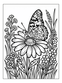 Painted Lady Butterfly Rests On Daisy Flower