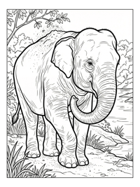 Asian Elephant Dusting By Riverbank