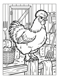 Silkie Chicken Perching In Barn