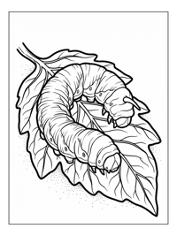 Tomato Hornworm Resting On Leaf