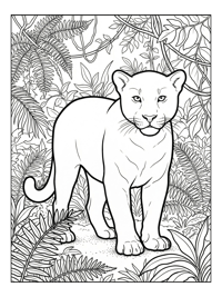 Young Jaguar Standing In Jungle