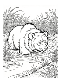 Sloth Bear Wading In Grassy Meadow