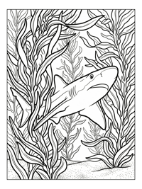 Blue Shark Resting Kelp Forest
