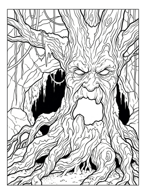 Enchanted Forest