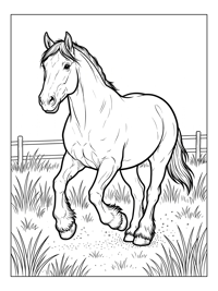 Shire Horse Trotting Grassy Paddock