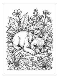 French Bulldog Puppy Lies Down Among Flowers