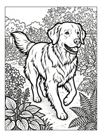 Golden Retriever Running In Backyard Garden