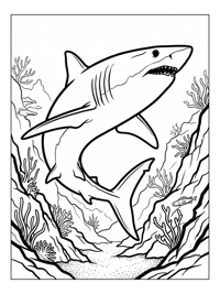 Mako Shark Swimming In Ocean Trench