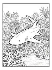 Nurse Shark Swimming In Coral Reef