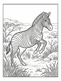 Zebra Leaping African Savanna