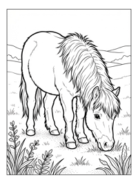 Shetland Pony Grazing In Meadow