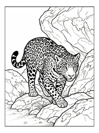 Young Jaguar Prowling Among Rocks