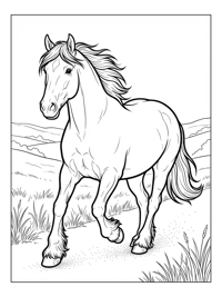 Shire Horse Trotting In Meadows