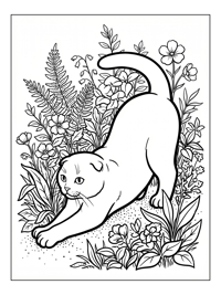 Scottish Fold Cat Stretching In Garden