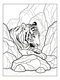 Bengal Tiger Grooming Among Rocky Outcrop
