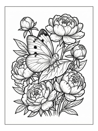 Cabbage White Butterfly Rests On Peonies