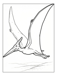 Pterodactyl Flying Over Land