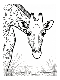 Giraffe Watching In Grassy Plains