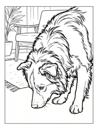 Border Collie Sniffing Living Room Floor