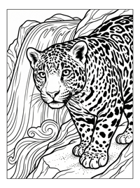 Young Jaguar Looking Near Waterfall Edge