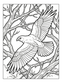Noble Hawk Gliding Through Forest