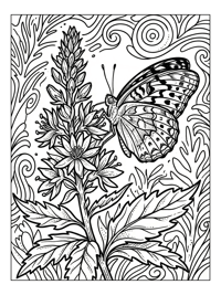 Great Spangled Fritillary On Flower