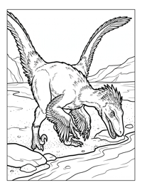 Feathered Velociraptor Foraging By River
