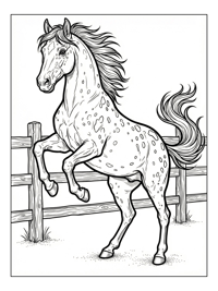 Appaloosa Rearing By Wooden Fence
