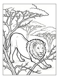 African Lion Prowling Among Acacia Trees
