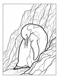 Penguin Preening By Mountain Cliff