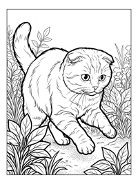 Scottish Fold Cat Playing In Garden