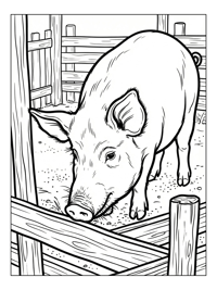 Pig Snuffling In Wooden Pen