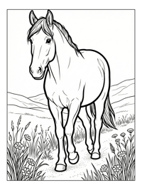 Clydesdale Horse Walking In Meadow