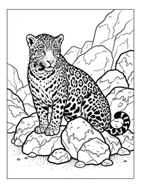 Spotted Jaguar Sitting Among Rocks