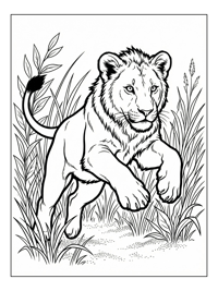 Lion Cub Jumping In Grasslands