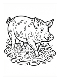 Pig Splashing In Mud Puddle