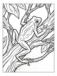 Goliath Frog Climbing On Tree Branch