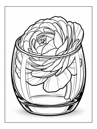 Ranunculus Unfolding In Glass Vase