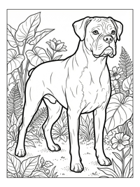 Boxer Dog Standing In Garden