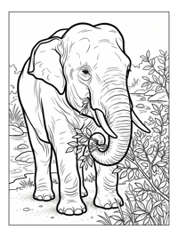 Sumatran Elephant Eating Leaves By River